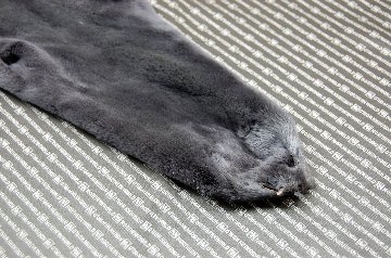 プラックトミンク原反　ダークグレーの画像