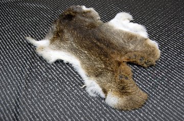 シェアードラビット原反　ゴマ(238)の画像