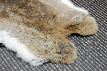 シェアードラビット原反　ゴマ(239)の画像