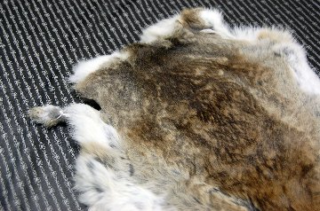 シェアードラビット原反　ゴマ(239)の画像