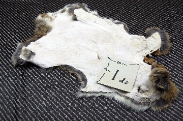 シェアードラビット原反　ゴマ(240)の画像
