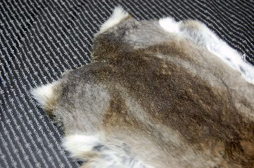 シェアードラビット原反　ゴマ(241)の画像