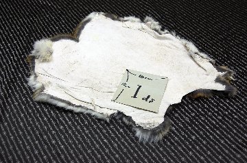 シェアードラビット原反　ゴマ(241)の画像