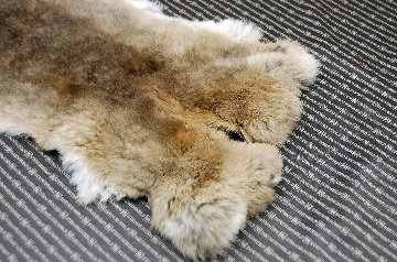 シェアードラビット原反　ゴマ(242)の画像