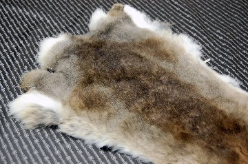 シェアードラビット原反　ゴマ(242)の画像