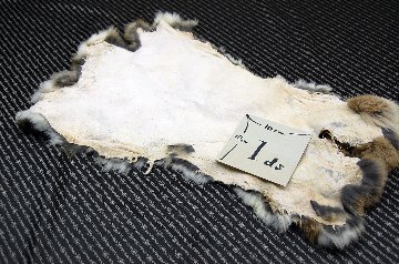 シェアードラビット原反　ゴマ(242)の画像