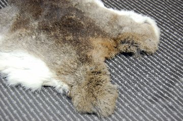 シェアードラビット原反　ゴマ(243)の画像