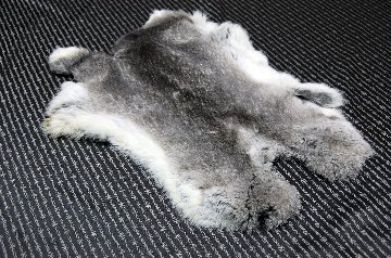 シェアードラビット原反　チンチラ(244)の画像