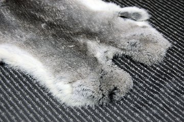シェアードラビット原反　チンチラ(244)の画像