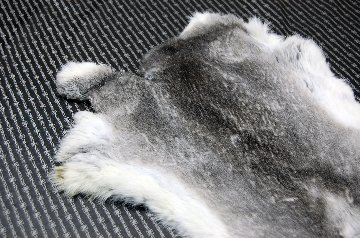 シェアードラビット原反　チンチラ(244)の画像