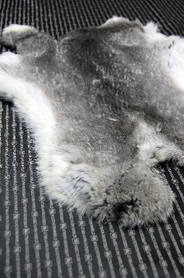シェアードラビット原反　チンチラ(244)の画像