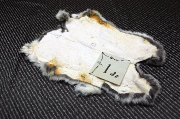 シェアードラビット原反　チンチラ(244)の画像