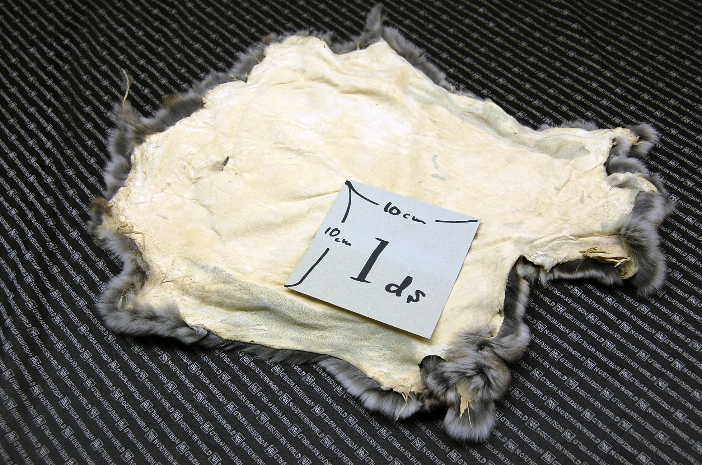 レッキス原反　チンチラ(245)の画像