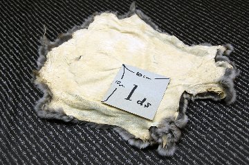 レッキス原反　チンチラ(245)の画像