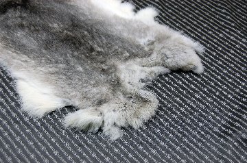 シェアードラビット原反　チンチラ(247)の画像