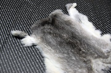 シェアードラビット原反　チンチラ(247)の画像