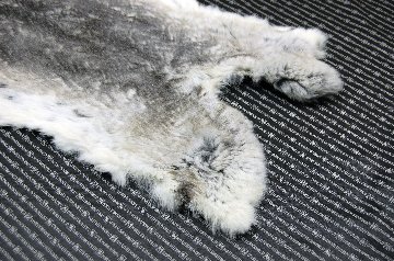 シェアードラビット原反　チンチラ(248)の画像