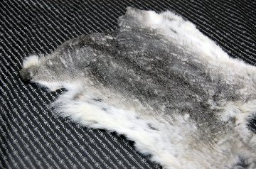 シェアードラビット原反　チンチラ(248)の画像