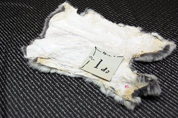 シェアードラビット原反　チンチラ(248)の画像
