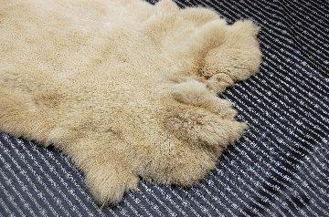 ラビット原反　ベージュ(249)の画像