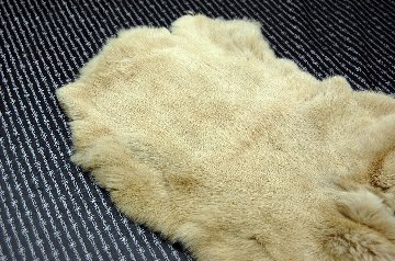 ラビット原反　ベージュ(249)の画像