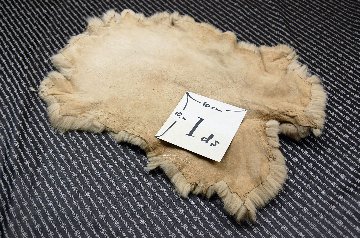 ラビット原反　ベージュ(249)の画像