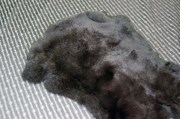 レッキス原反　ダークブラウン(250)の画像