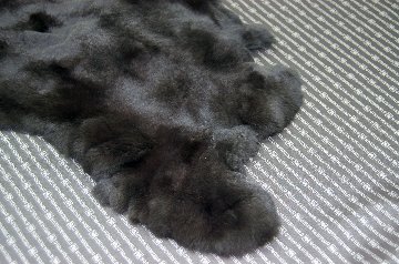 レッキス原反　ダークブラウン(251)の画像