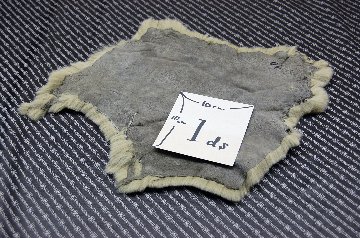 レッキス原反　ペールグリーン(252)の画像