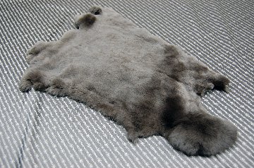 レッキス原反　ダークブラウン(253)の画像
