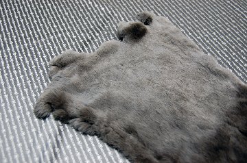 レッキス原反　ダークブラウン(253)の画像