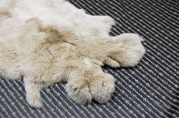 レッキス原反　ライトベージュ(254)の画像