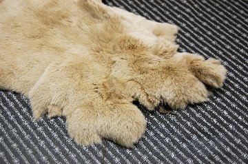 レッキス原反　ベージュ(255)の画像