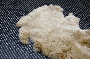 レッキス原反　ベージュ(256)の画像