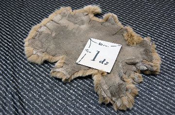 レッキス原反　ベージュ(256)の画像