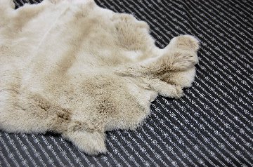 レッキス原反　ライトベージュ(257)の画像