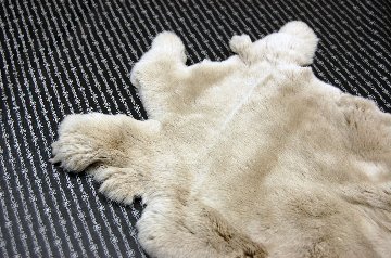 レッキス原反　ライトベージュ(257)の画像
