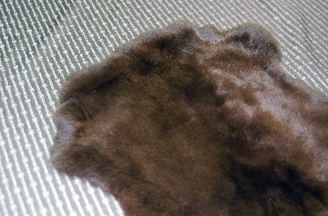 レッキス原反　ダークブラウン(258)の画像