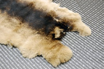 レッキス原反　ベージュプリント(260)の画像
