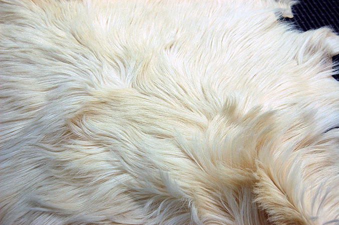 毛皮原料販売ケガワコム