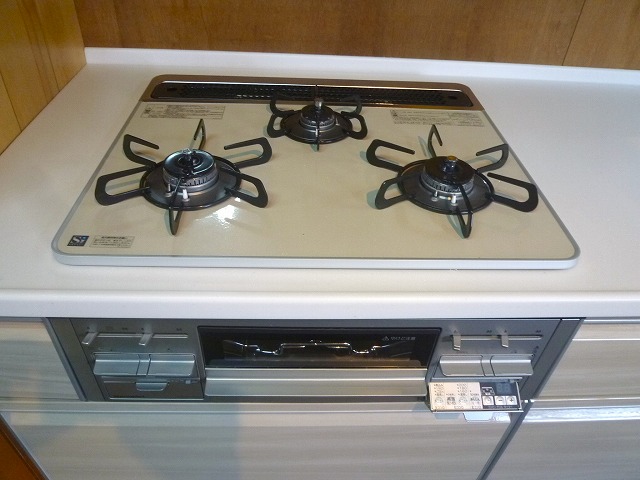 タカラスタンダードシステムキッチン　トレーシア　右シンクの画像