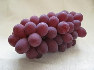 サニールージュの画像