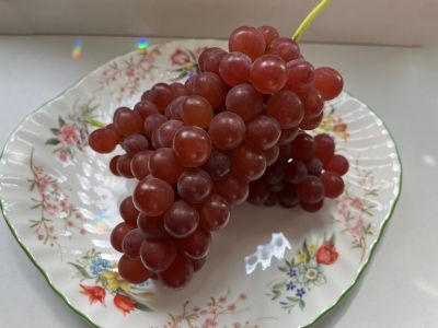 デラウェアの画像