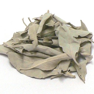 浄化用 (無農薬) ホワイトセージ （リーフ・30g）の画像