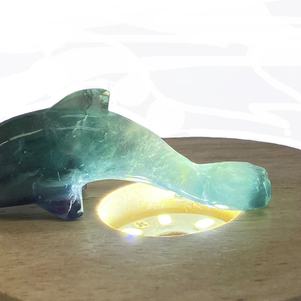 天然石 レインボーフローライト 蛍石  イルカの置物 (01) 限定品画像