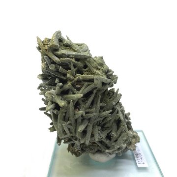 天然石  ガネーシュヒマール産 ヒマラヤ水晶 クラスター  クローライトINクォーツ  限定品 937の画像