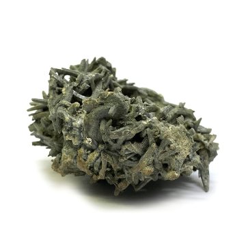 天然石  ガネーシュヒマール産 ヒマラヤ水晶 クラスター  クローライトINクォーツ  限定品 937の画像