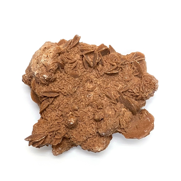 天然石  砂漠のバラ（Desert Rose） 原石  (221) 鉱物 鉱石 標本 置物 画像
