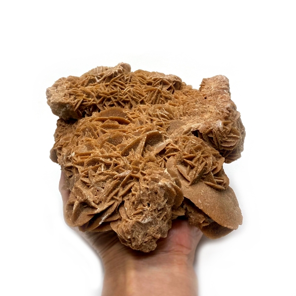 天然石  砂漠のバラ（Desert Rose） 原石  (221) 鉱物 鉱石 標本 置物 画像