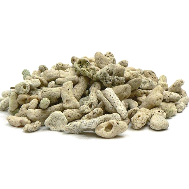 天然白珊瑚 東シナ海産 サンゴ  500g（25000）水洗い 塩抜き済み アクアリウム水槽用の画像